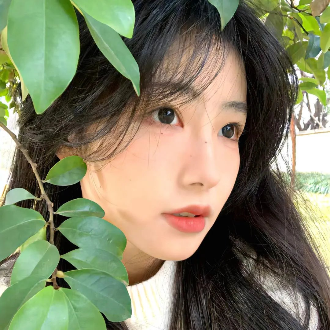 柳生一族的阴谋